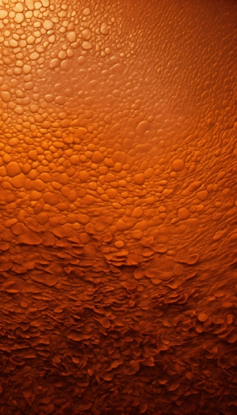 Brown, Amber, Liquid, Material Property, Landscape, Tints And Shades