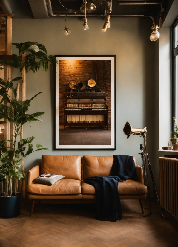 Brown, Plant, Picture Frame, Couch, Wood, Houseplant