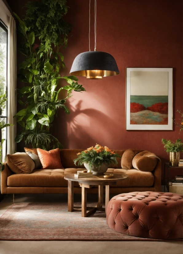 Brown, Plant, Property, Furniture, Couch, Window
