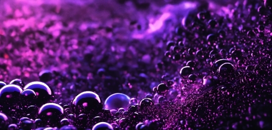 Colorfulness, Liquid, Purple, Water, Organism, Violet