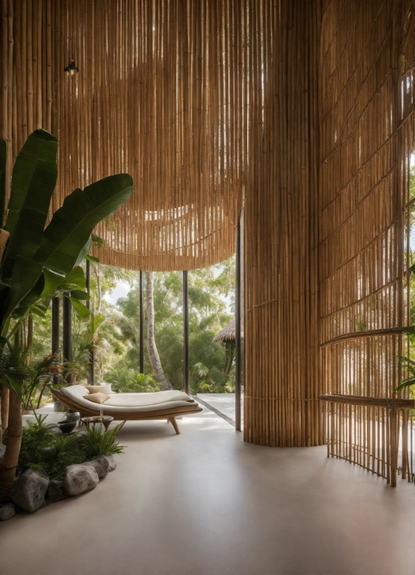 Copyright Free Websites For Videos, Plant, Wood, Shade, Interior Design, Arecales
