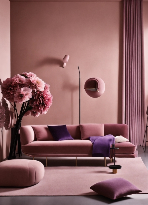 Flower, Furniture, Couch, Plant, Purple, Textile