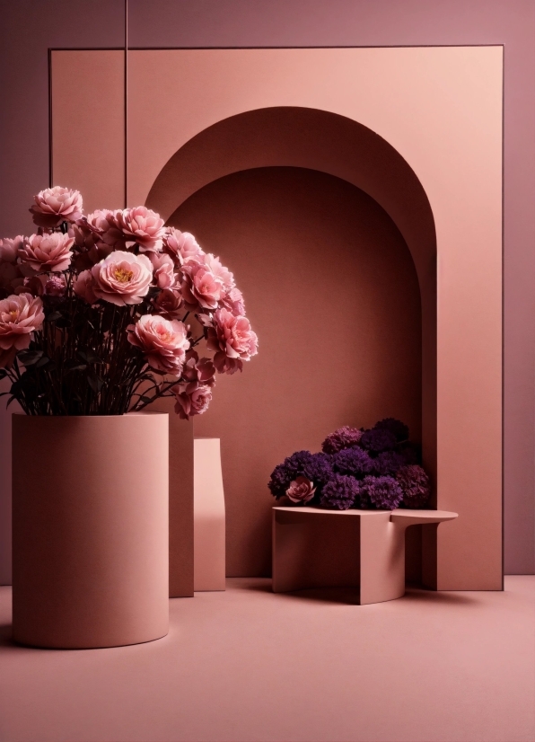 Flower, Plant, Flowerpot, Vase, Purple, Lighting