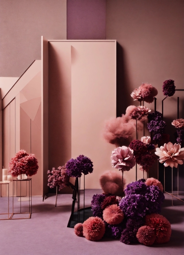 Flower, Plant, Petal, Purple, Lighting, Interior Design