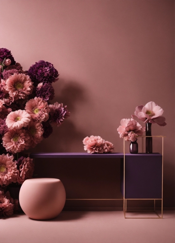 Flower, Plant, Table, Flowerpot, Vase, Petal