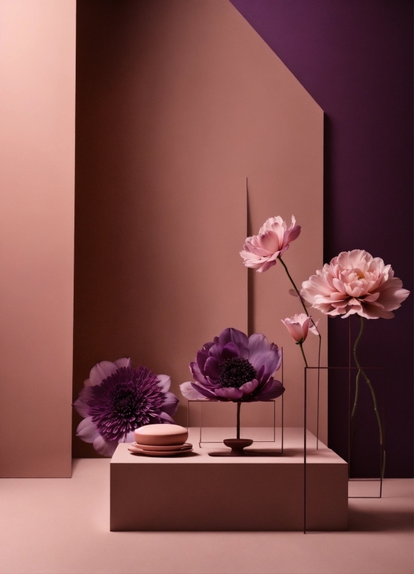 Flower, Plant, Table, Purple, Petal, Vase