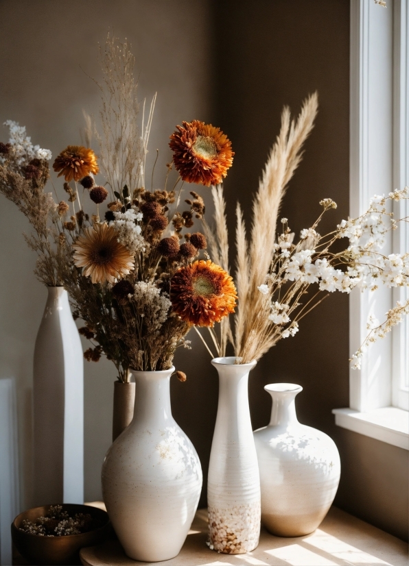 Flower, Vase, Plant, Window, Flowerpot, Branch
