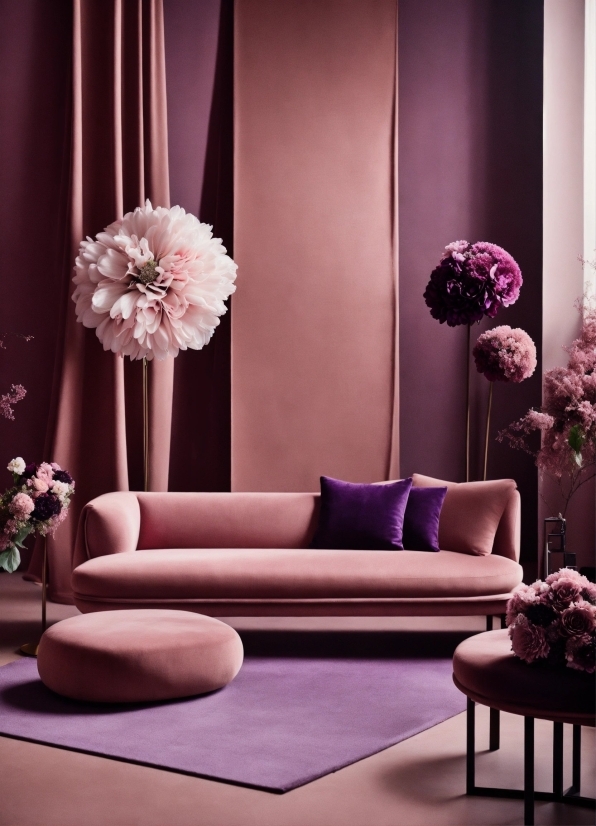 Flower, White, Purple, Decoration, Interior Design, Pink