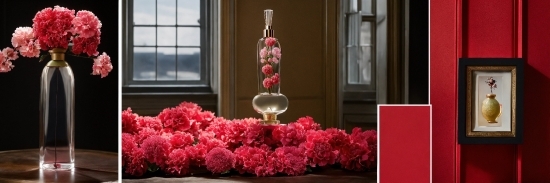 Flower, Window, Plant, Fixture, Pink, Petal