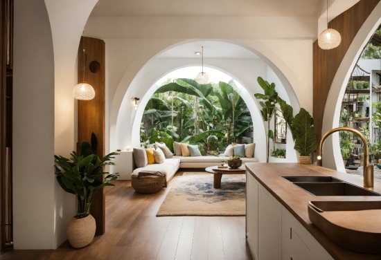 Free Stock Footage To Practice Editing, Plant, Property, Furniture, Houseplant, Cabinetry