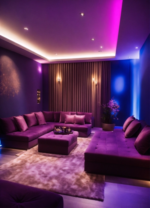 Furniture, Couch, Decoration, Purple, Comfort, Plant
