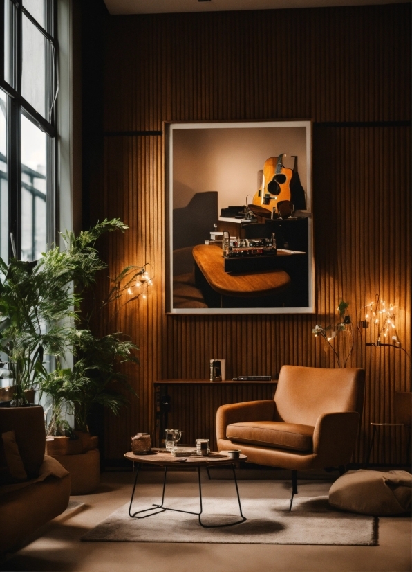 Furniture, Plant, Building, Window, Chair, Interior Design
