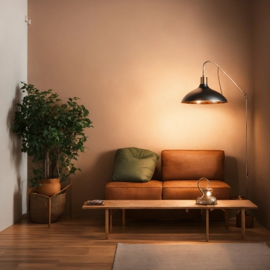 Furniture, Plant, Property, Building, Light, Table