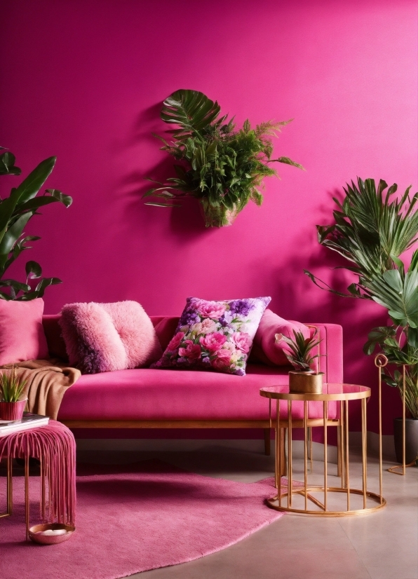 Furniture, Plant, Purple, Couch, Comfort, Lighting