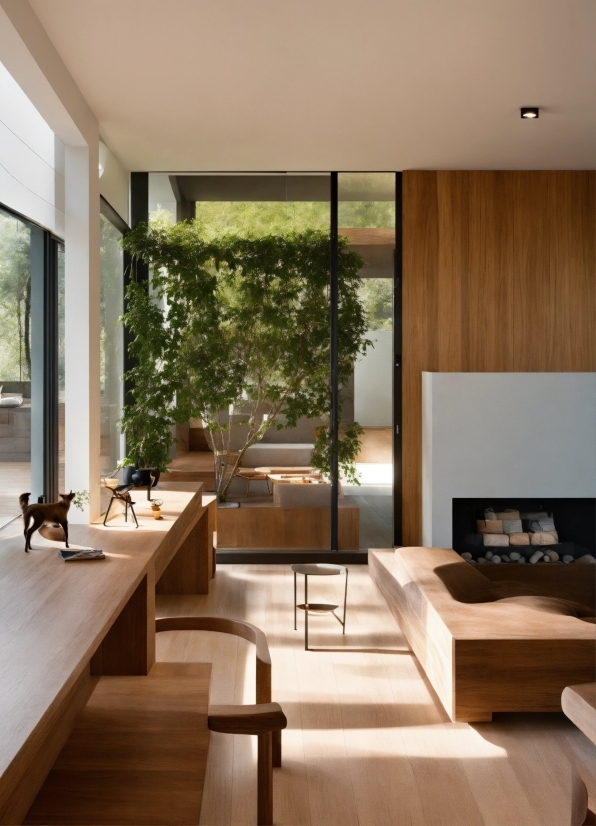 Furniture, Plant, Table, Wood, Interior Design, Living Room