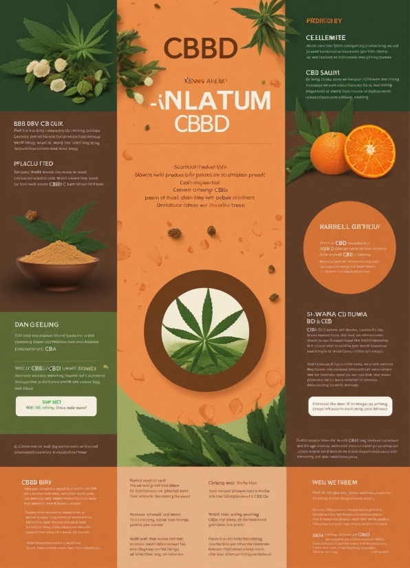 Green, Botany, Organism, Terrestrial Plant, Font, Natural Foods