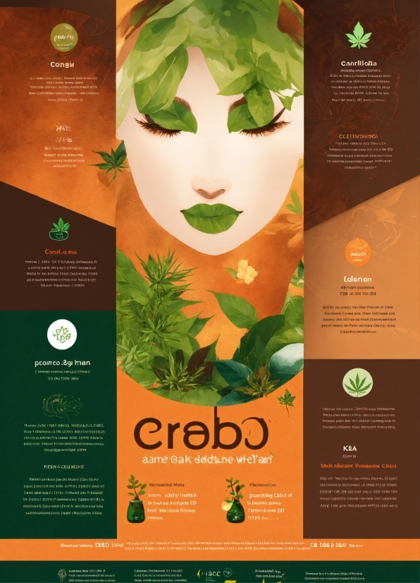 Green, Natural Foods, Organism, Terrestrial Plant, Font, Poster