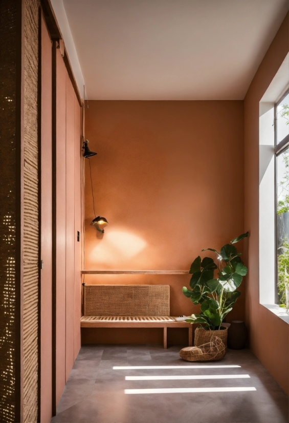 No Copyright Video Clips Free Download, Plant, Window, Wood, Interior Design, Houseplant