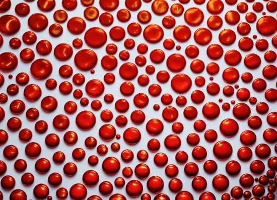 Online Video Maker With Photos And Music, Orange, Organism, Line, Red, Material Property