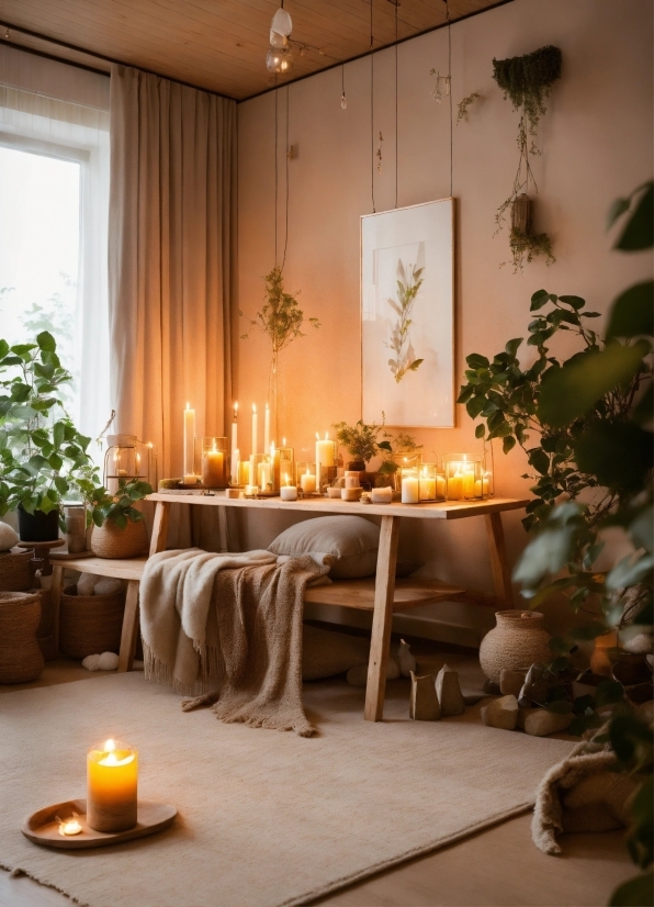 Plant, Candle, Property, Furniture, Table, Light