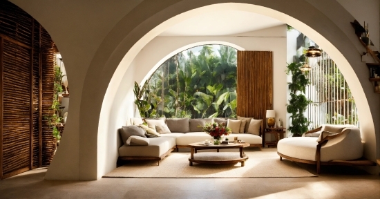 Plant, Couch, Building, Comfort, Interior Design, Shade