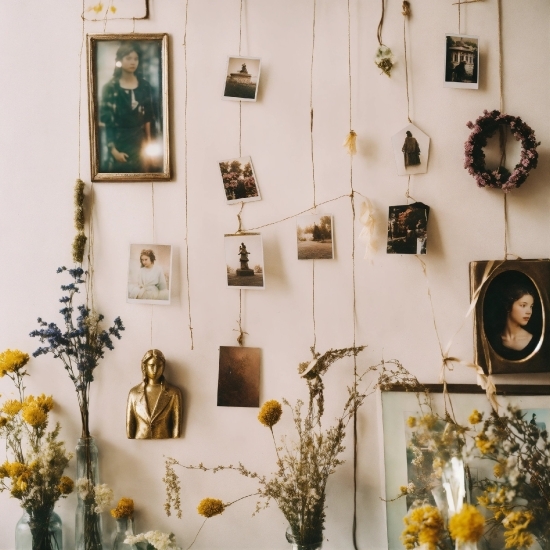 Plant, Flower, Picture Frame, Property, Photograph, Green