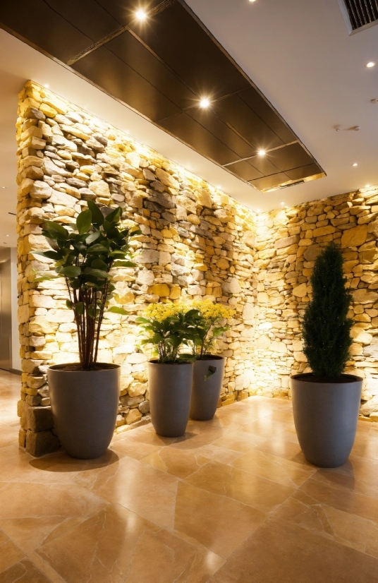 Plant, Flowerpot, Houseplant, Interior Design, Flooring, Floor