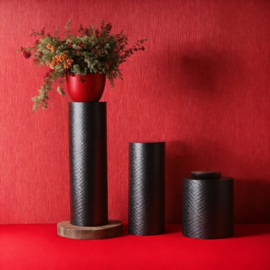 Plant, Flowerpot, Rectangle, Camera Lens, Vase, Houseplant