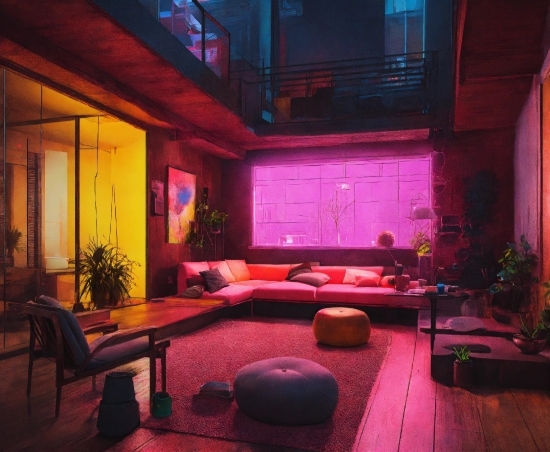 Plant, Furniture, Property, Couch, Purple, Houseplant
