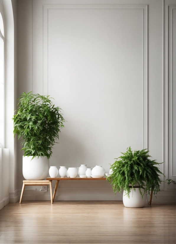 Plant, Houseplant, Flowerpot, Wood, Rectangle, Vase