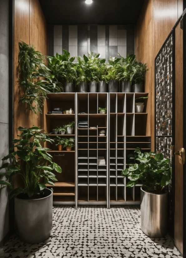 Plant, Lighting, Flowerpot, Vegetation, Interior Design, Houseplant