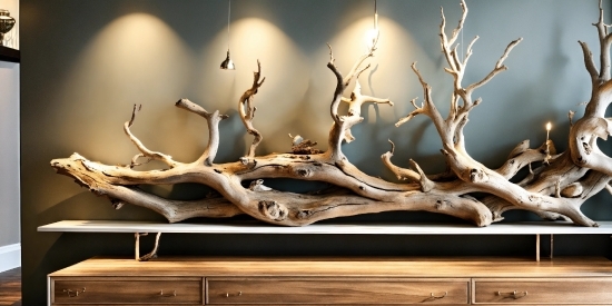 Plant, Natural Material, Branch, Animal Product, Wood, Lighting