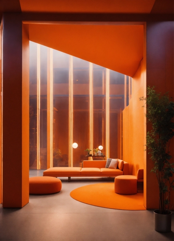 Plant, Orange, Wood, Architecture, Interior Design, Shade