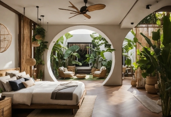 Plant, Property, Building, Comfort, Ceiling Fan, Interior Design
