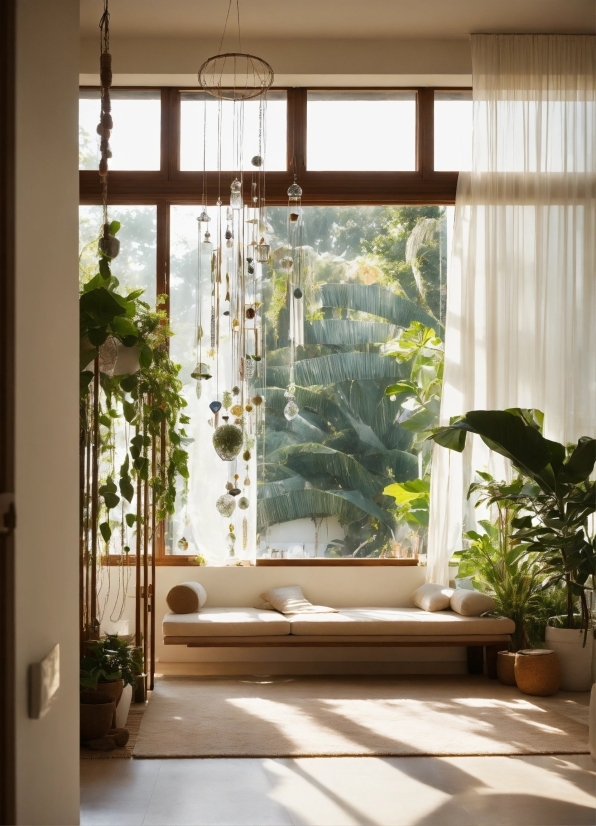 Plant, Property, Building, Window, Houseplant, Fixture
