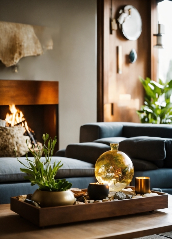 Plant, Property, Furniture, Couch, Interior Design, Comfort