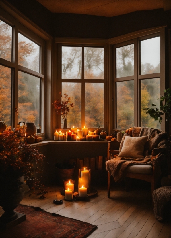 Plant, Property, Window, Furniture, Building, Candle