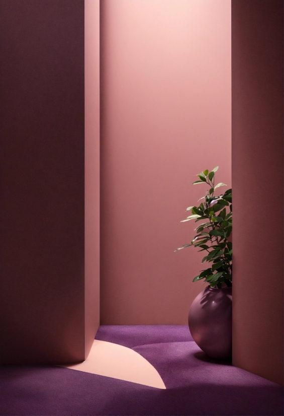 Plant, Purple, Textile, Wood, Pink, Violet