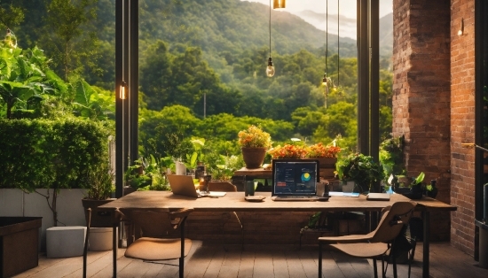 Plant, Table, Property, Furniture, Window, Flowerpot