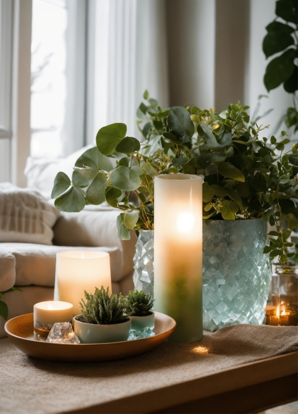 Plant, Table, Window, Candle, Lighting, Interior Design