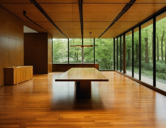 Plant, Wood, Table, Shade, Interior Design, Flooring