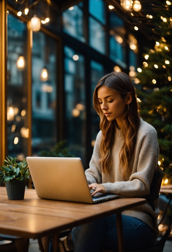 Police Stock Footage, Photograph, Laptop, Personal Computer, Plant, Computer