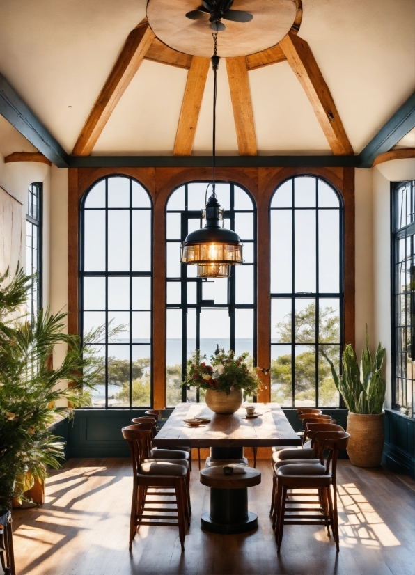 Premium Stock Video, Plant, Property, Table, Furniture, Wood
