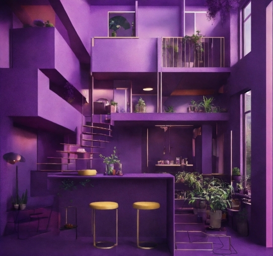 Property, Furniture, Purple, Plant, Houseplant, Lighting