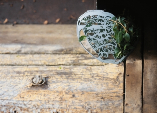 Royalty Free Beats Download, Wood, Organism, Plant, Grass, Twig