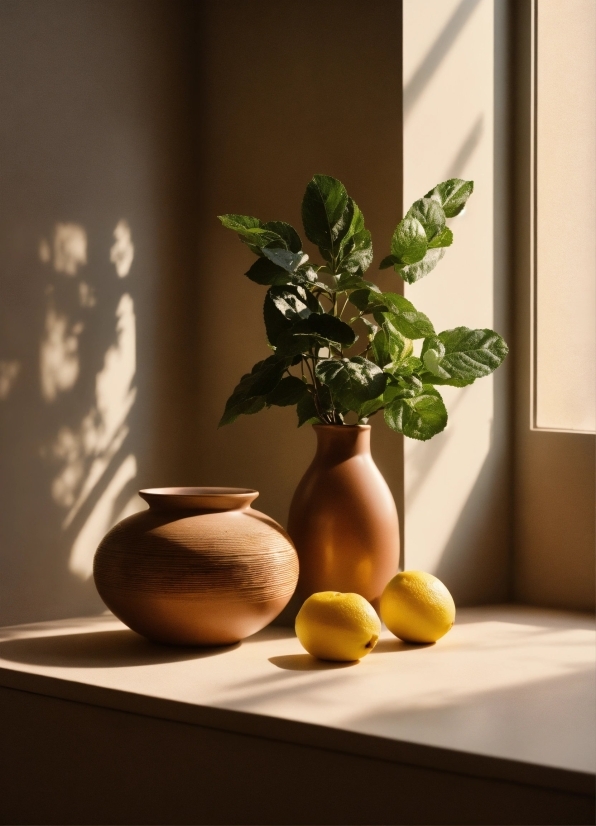 Table, Plant, Rangpur, Wood, Vase, Window
