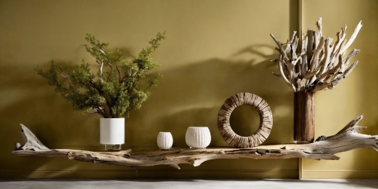 Table, Twig, Wood, Branch, Interior Design, Plant