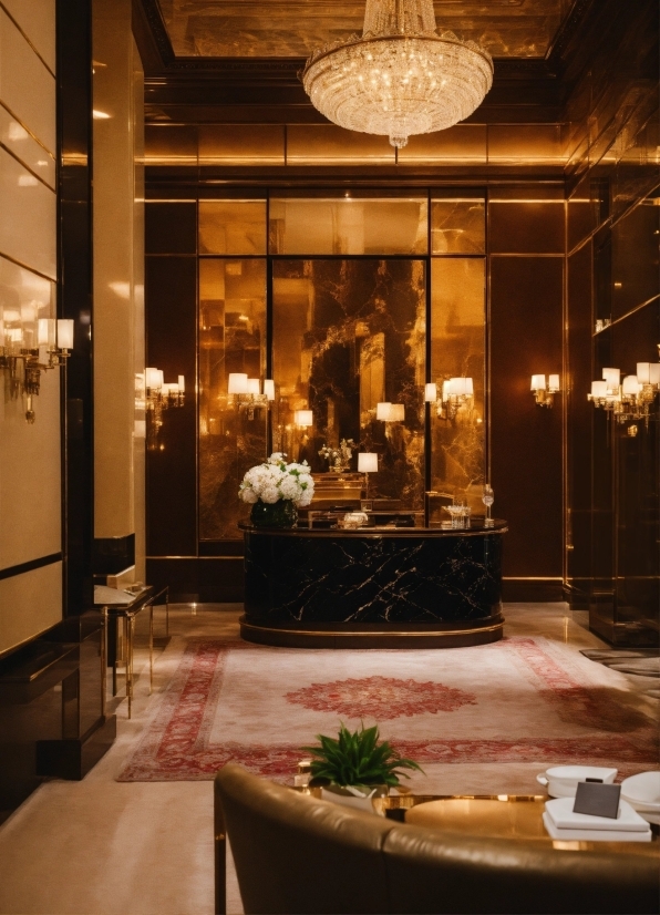 Video Backs, Decoration, Plant, Interior Design, Building, Ceiling
