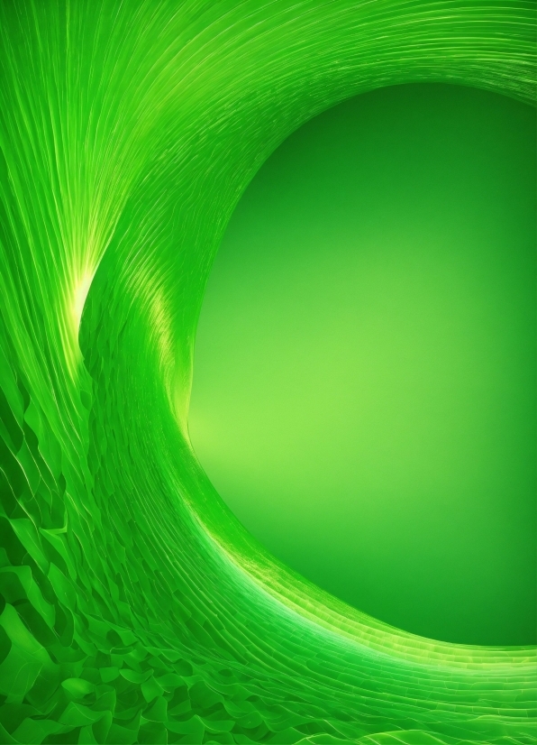 Videopad Online, Colorfulness, Green, Terrestrial Plant, Pattern, Circle