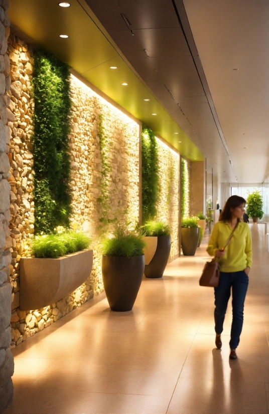 Vj Movies, Plant, Interior Design, Flooring, Houseplant, Flowerpot